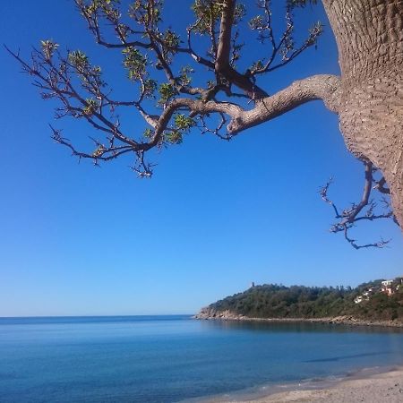 Un Po Di Relax A Pochi Passi Dal Mare! Apartamento Àrbatax Exterior foto