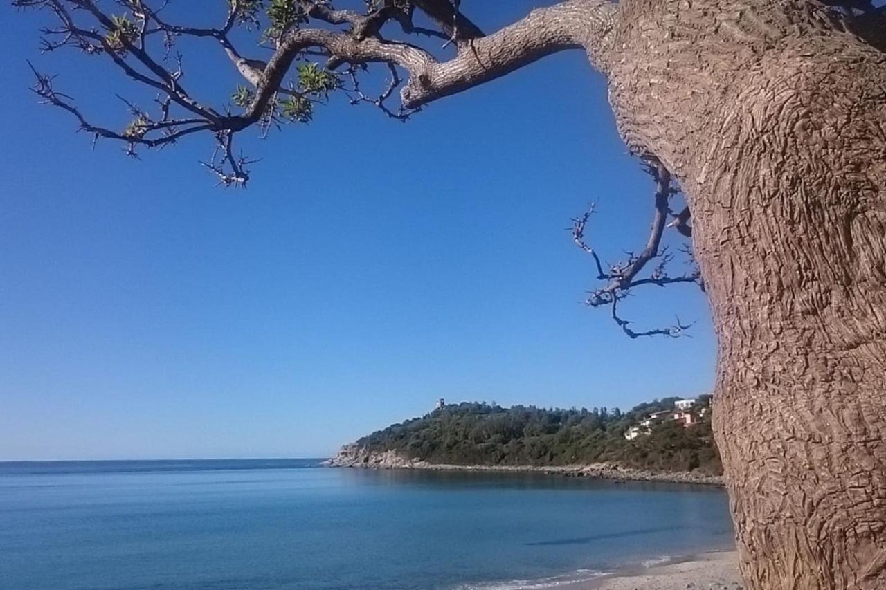 Un Po Di Relax A Pochi Passi Dal Mare! Apartamento Àrbatax Exterior foto